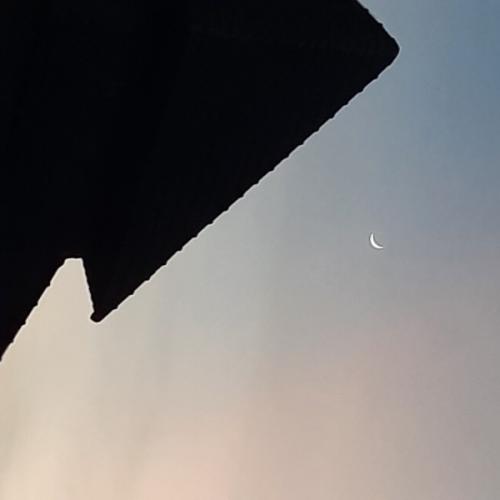 สมาชิกหมายเลข 7807024