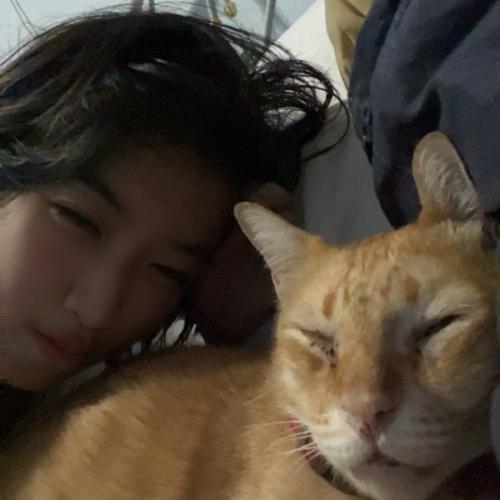 สมาชิกหมายเลข 5136645