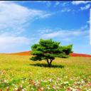 สมาชิกหมายเลข 4146643