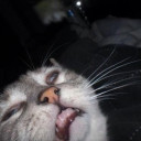 สมาชิกหมายเลข 3832185