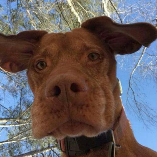 สมาชิกหมายเลข 4906266