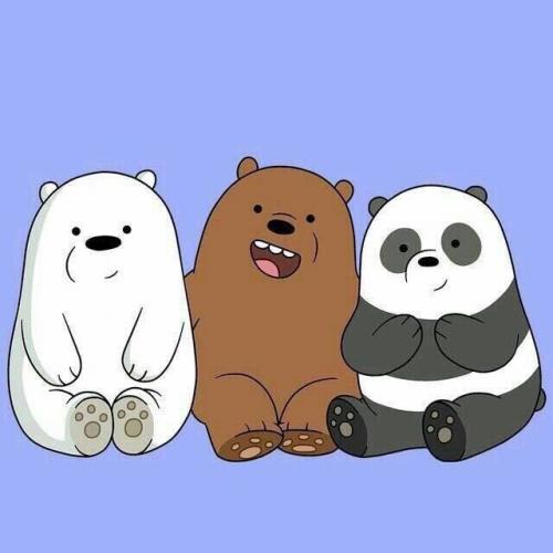 สมาชิกหมายเลข 5304138