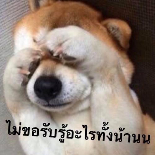 สมาชิกหมายเลข 4324722