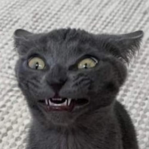 สมาชิกหมายเลข 812180