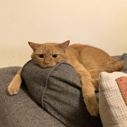 สมาชิกหมายเลข 5022613