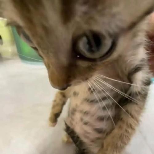 สมาชิกหมายเลข 8771245