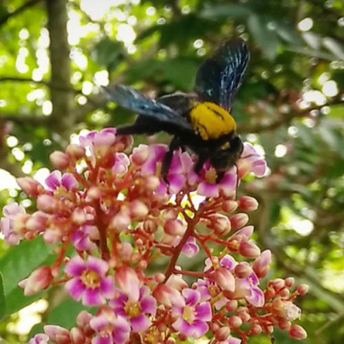 สมาชิกหมายเลข 4848196