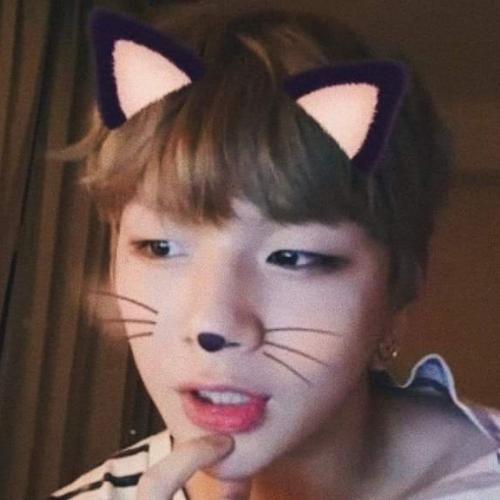 สมาชิกหมายเลข 4905487