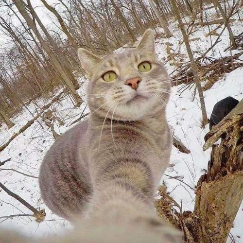 สมาชิกหมายเลข 4906428