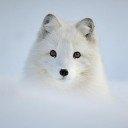 สมาชิกหมายเลข 4906533