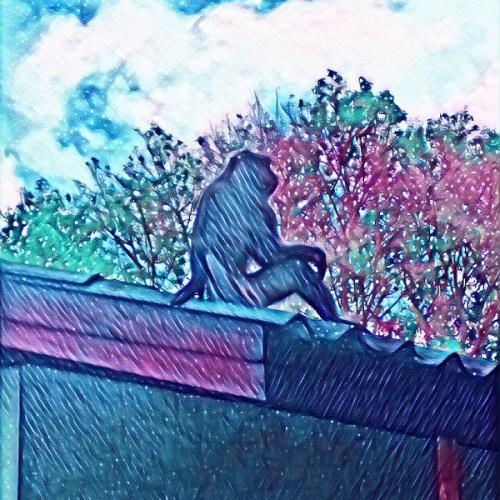 สมาชิกหมายเลข 3963236