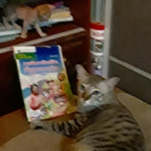 สมาชิกหมายเลข 5761371