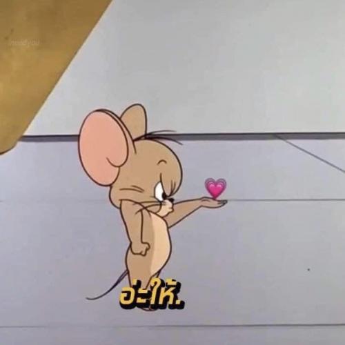 สมาชิกหมายเลข 6353927