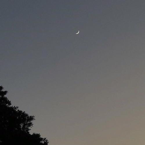 สมาชิกหมายเลข 6353928