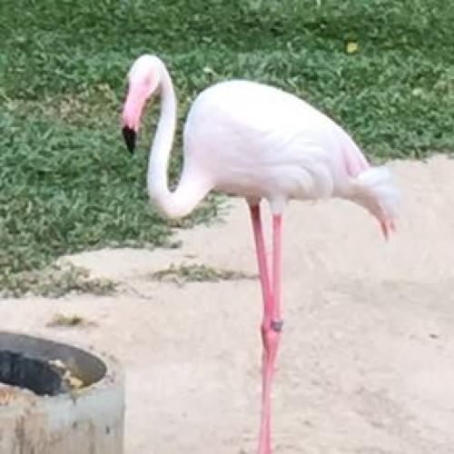 สมาชิกหมายเลข 6354149