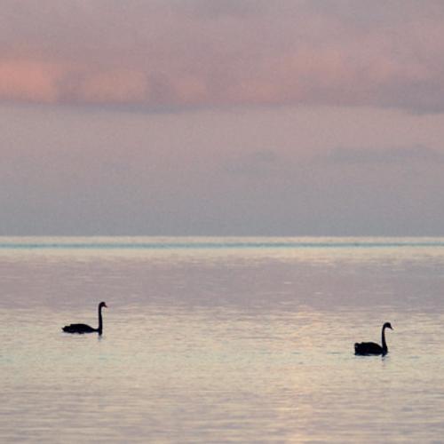 สมาชิกหมายเลข 7805522