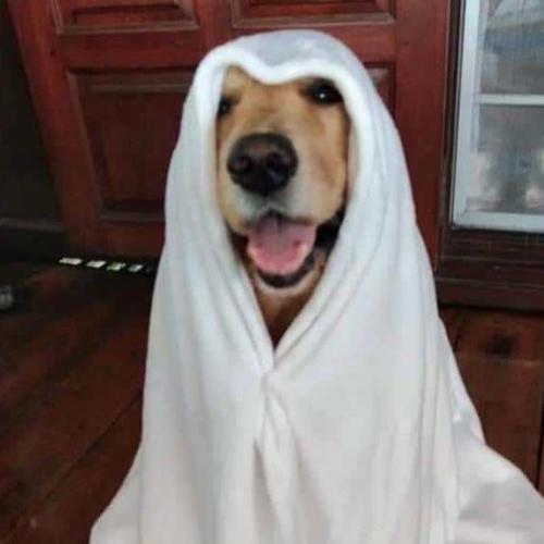 สมาชิกหมายเลข 7808763