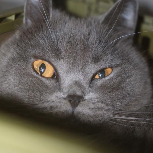 สมาชิกหมายเลข 8779582