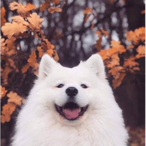 สมาชิกหมายเลข 5761309