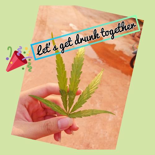 สมาชิกหมายเลข 5761541