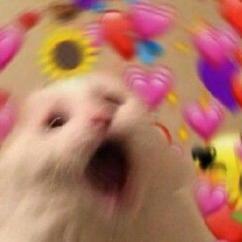 สมาชิกหมายเลข 6354731