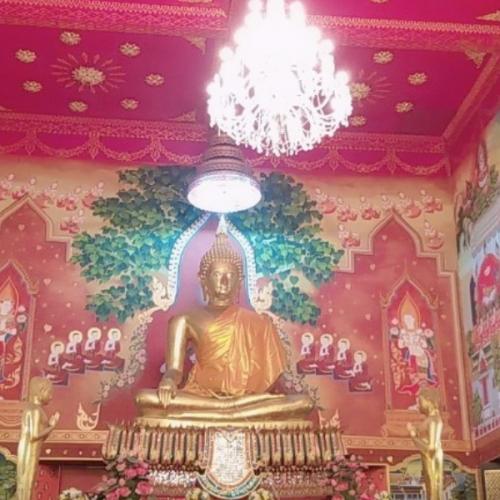 สมาชิกหมายเลข 6355035