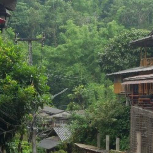 สมาชิกหมายเลข 6355050