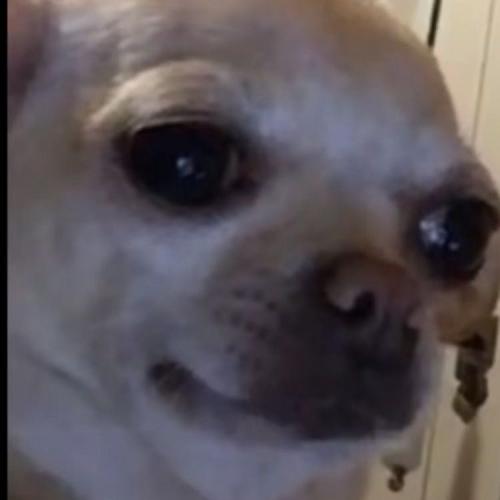 สมาชิกหมายเลข 6454467