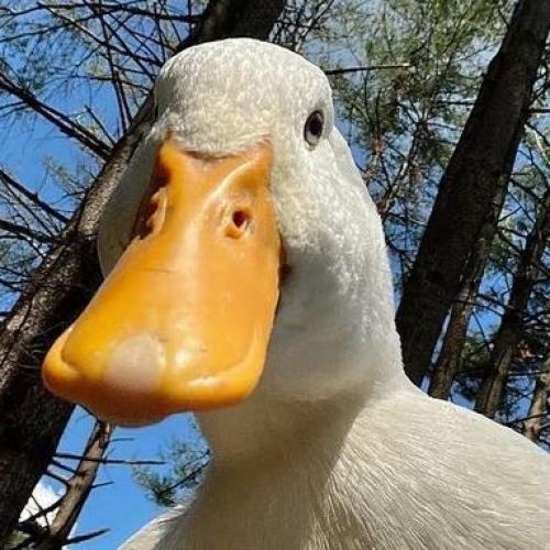 สมาชิกหมายเลข 7808421