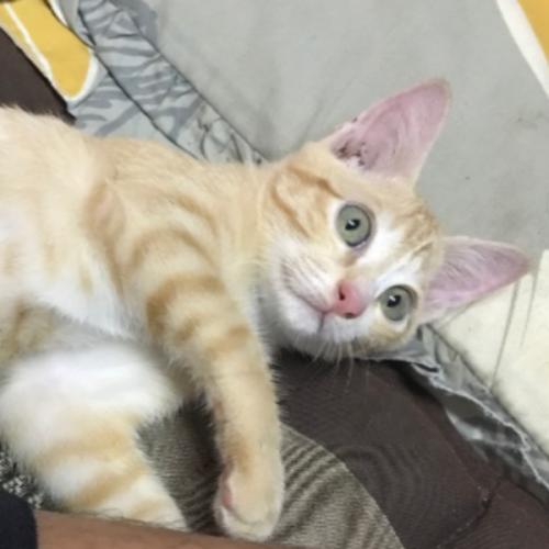 สมาชิกหมายเลข 7808872