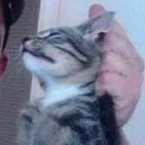 สมาชิกหมายเลข 7808993