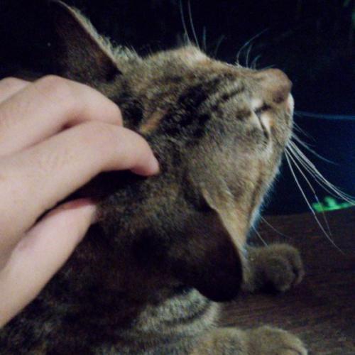 สมาชิกหมายเลข 6352238