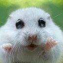 สมาชิกหมายเลข 3687049