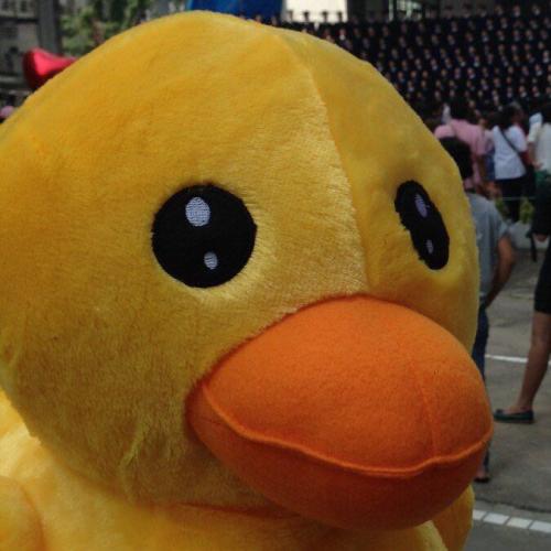 สมาชิกหมายเลข 1303954