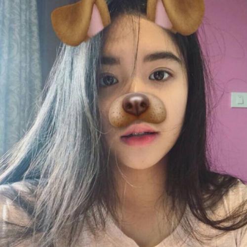 สมาชิกหมายเลข 4255291