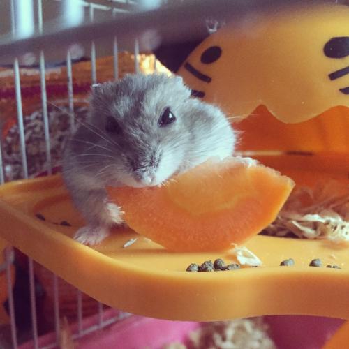 สมาชิกหมายเลข 4565700