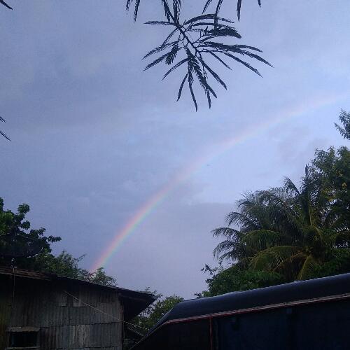 สมาชิกหมายเลข 4904596