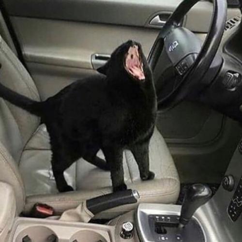 สมาชิกหมายเลข 3568478