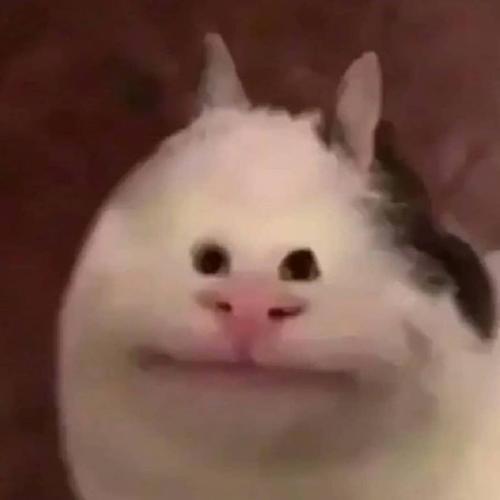 สมาชิกหมายเลข 5483451