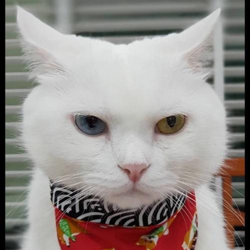 สมาชิกหมายเลข 5762246