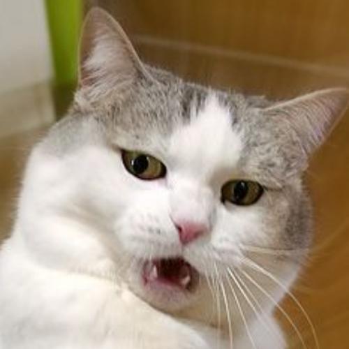 สมาชิกหมายเลข 5724578