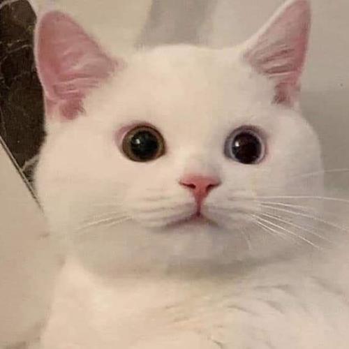 สมาชิกหมายเลข 5921935