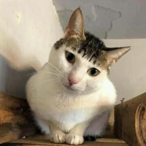 สมาชิกหมายเลข 6355504