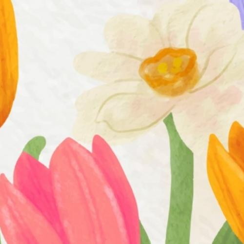 สมาชิกหมายเลข 4575693