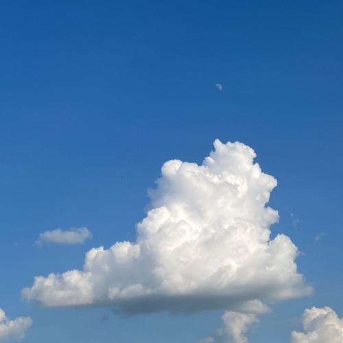 สมาชิกหมายเลข 7379545