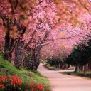 สมาชิกหมายเลข 3687315