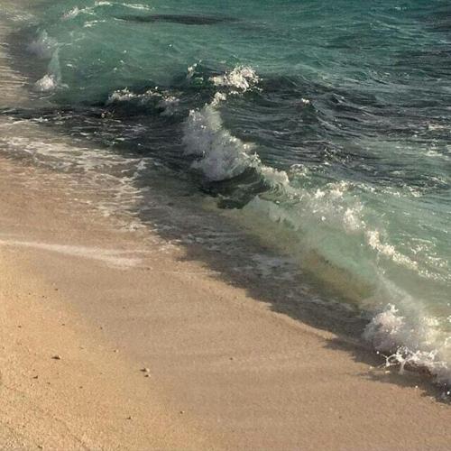 สมาชิกหมายเลข 4566322