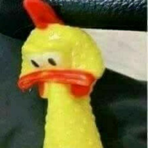 สมาชิกหมายเลข 5305636