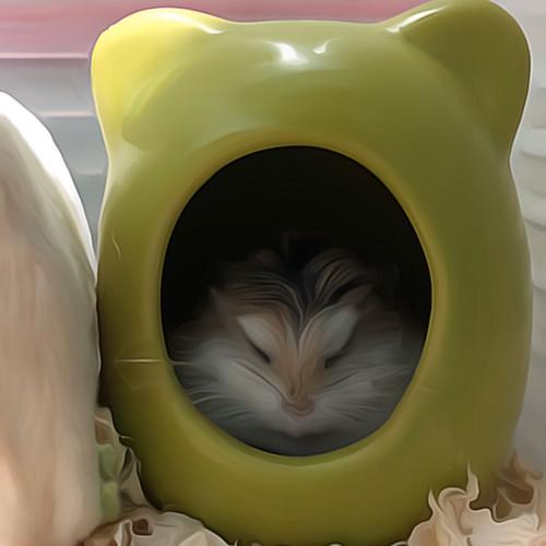 สมาชิกหมายเลข 1571842