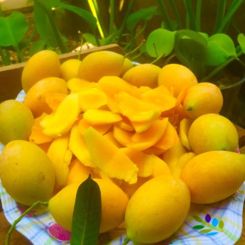 สมาชิกหมายเลข 3941914